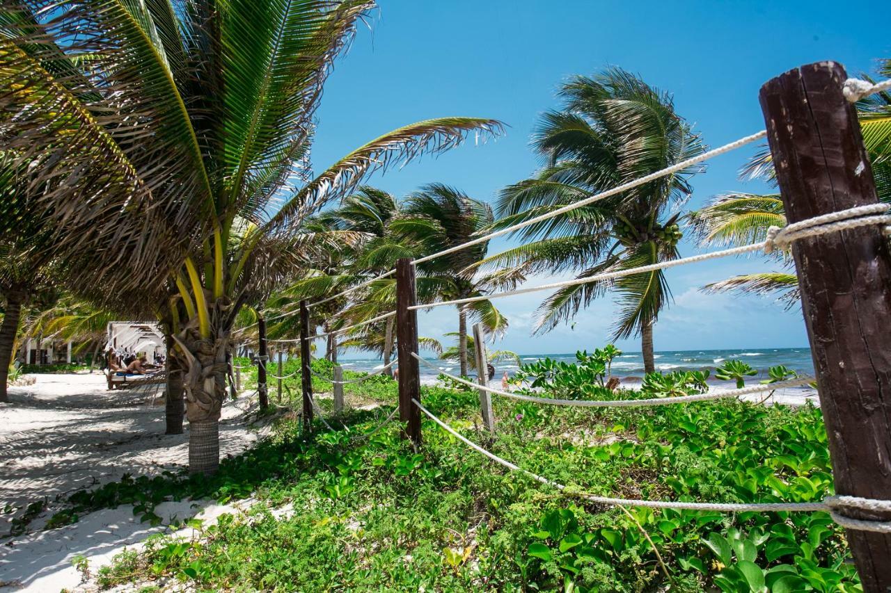 Hotel Cabana Los Lirios Tulum Luaran gambar